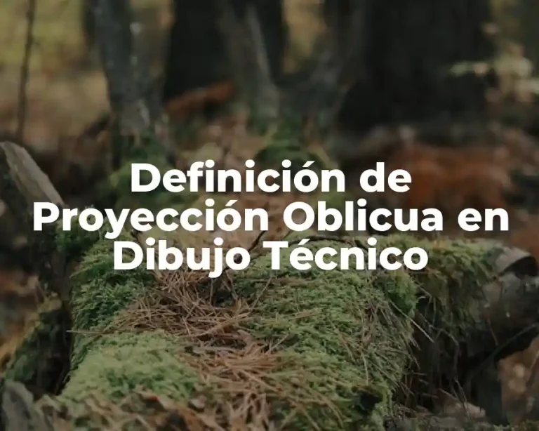 Definición de Proyección Oblicua en Dibujo Técnico