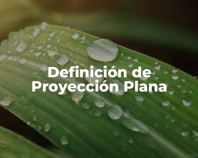 Definición de Proyección Plana