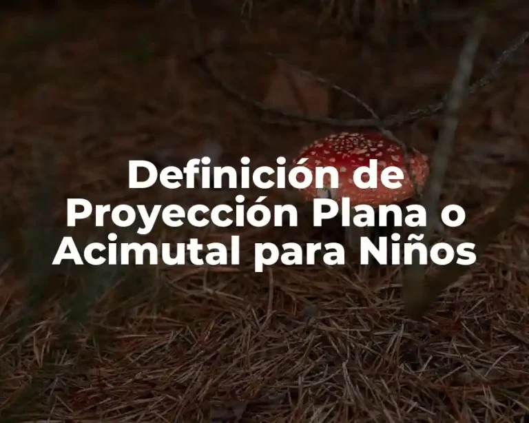 Definición de Proyección Plana o Acimutal para Niños