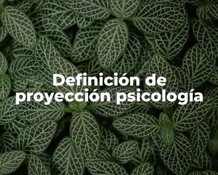 Definición de proyección psicología