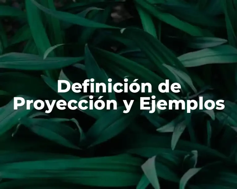 Definición de Proyección y Ejemplos