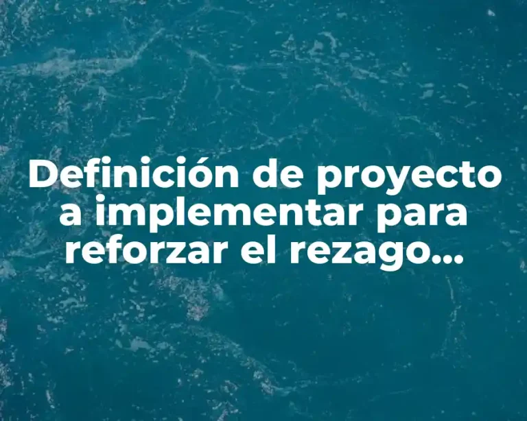 Definición de proyecto a implementar para reforzar el rezago educativo