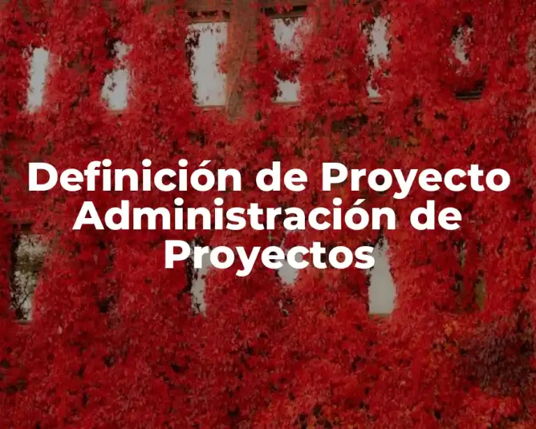 Definición de Proyecto Administración de Proyectos