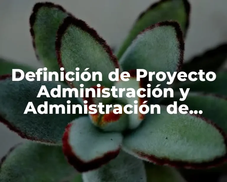 Definición de Proyecto Administración y Administración de Proyectos