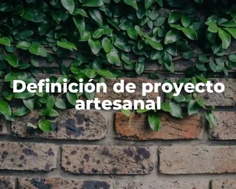 Definición de proyecto artesanal