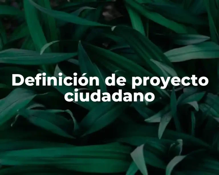 Definición de proyecto ciudadano
