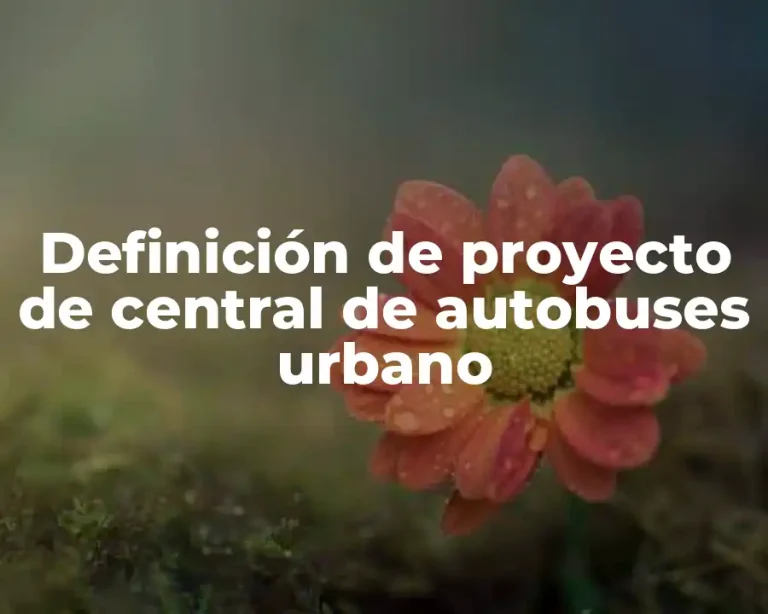 Definición de proyecto de central de autobuses urbano