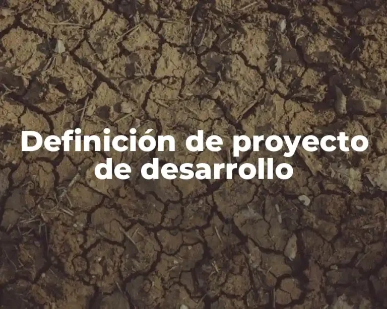 Definición de proyecto de desarrollo