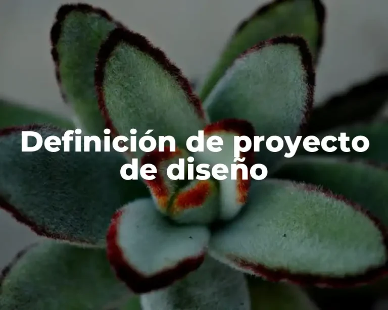 Definición de proyecto de diseño