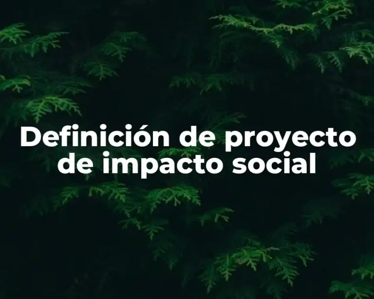 Definición de proyecto de impacto social