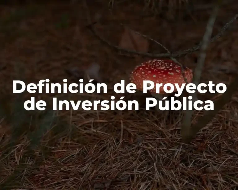 Definición de Proyecto de Inversión Pública