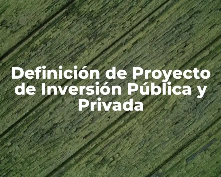 Definición de Proyecto de Inversión Pública y Privada