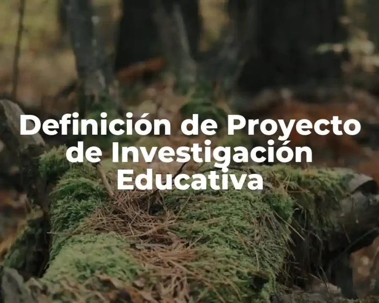 Definición de Proyecto de Investigación Educativa