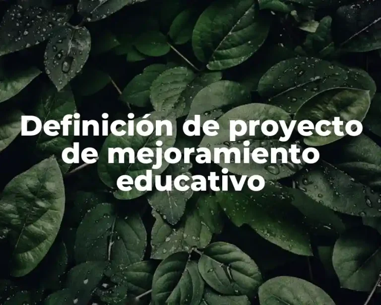 Definición de proyecto de mejoramiento educativo