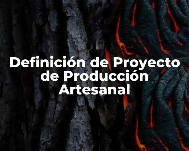 Definición de Proyecto de Producción Artesanal