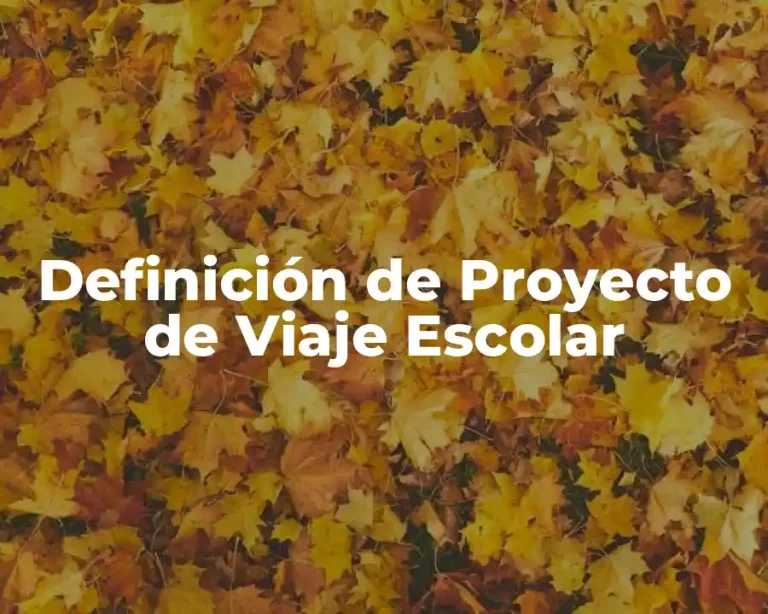 Definición de Proyecto de Viaje Escolar