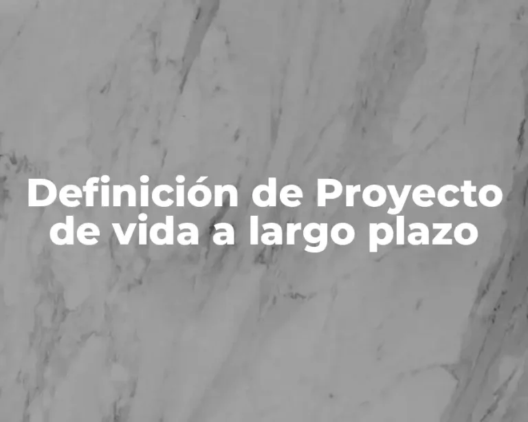 Definición de Proyecto de vida a largo plazo