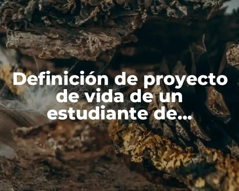 Definición de proyecto de vida de un estudiante de secundaria