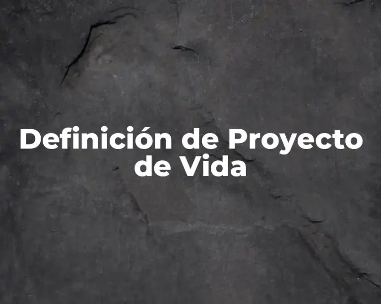 Definición de Proyecto de Vida