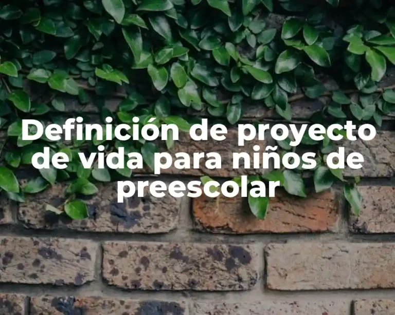 Definición de proyecto de vida para niños de preescolar