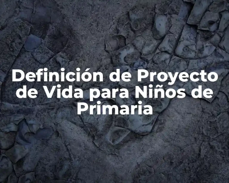 Definición de Proyecto de Vida para Niños de Primaria