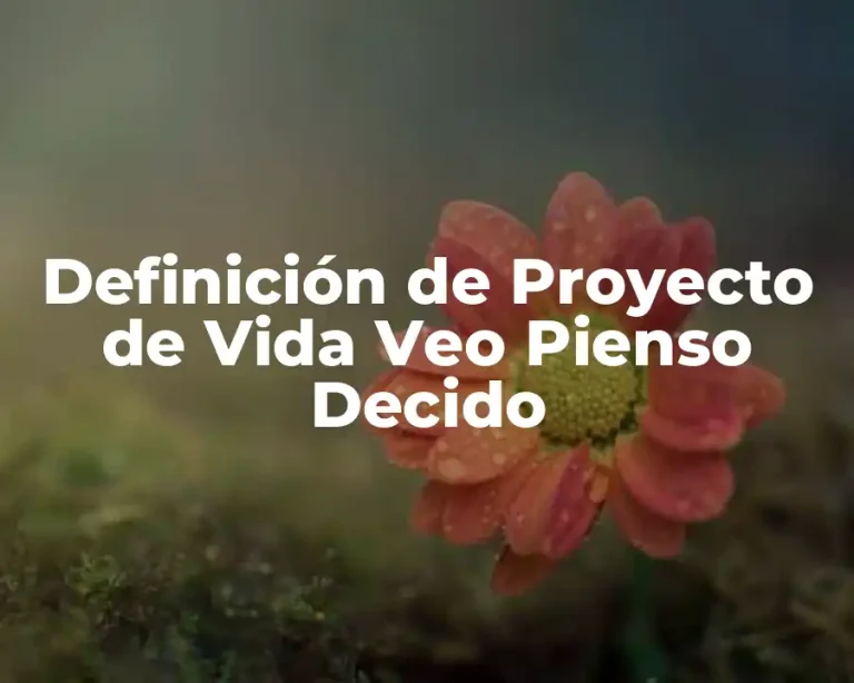 Definición de Proyecto de Vida Veo Pienso Decido