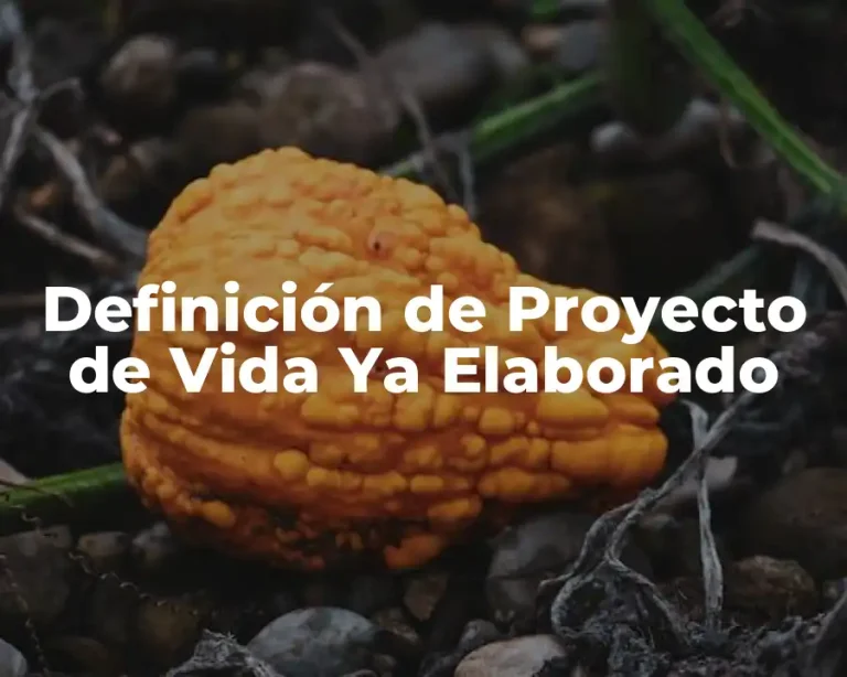 Definición de Proyecto de Vida Ya Elaborado
