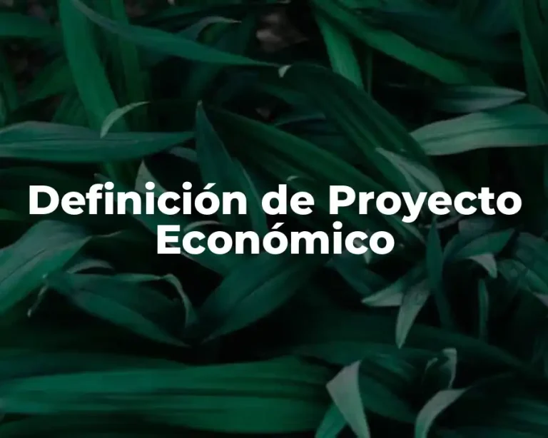 Definición de Proyecto Económico