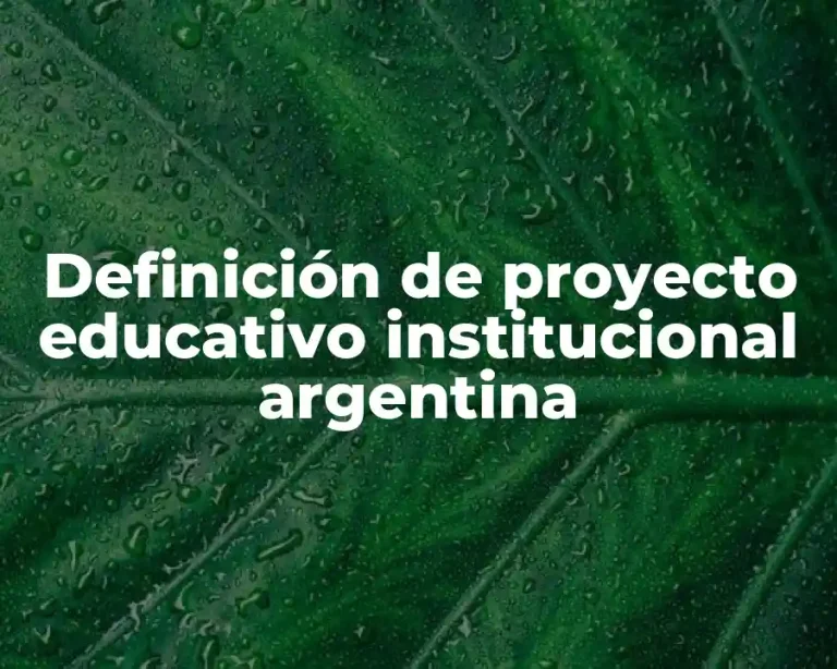 Definición de proyecto educativo institucional argentina