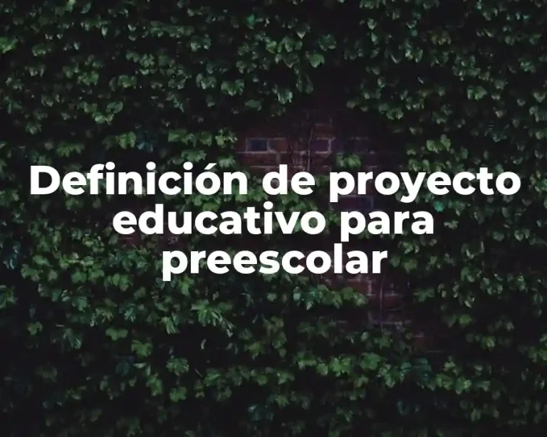 Definición de proyecto educativo para preescolar