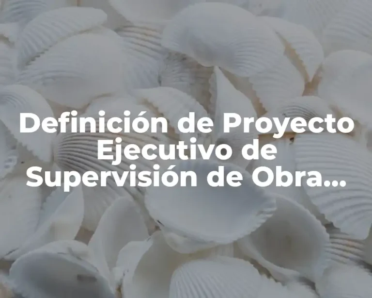 Definición de Proyecto Ejecutivo de Supervisión de Obra Eléctrica