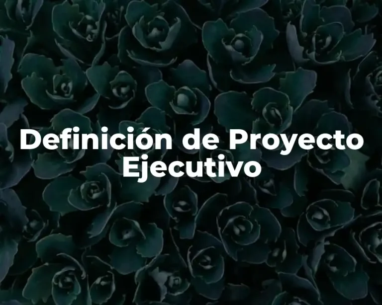 Definición de Proyecto Ejecutivo