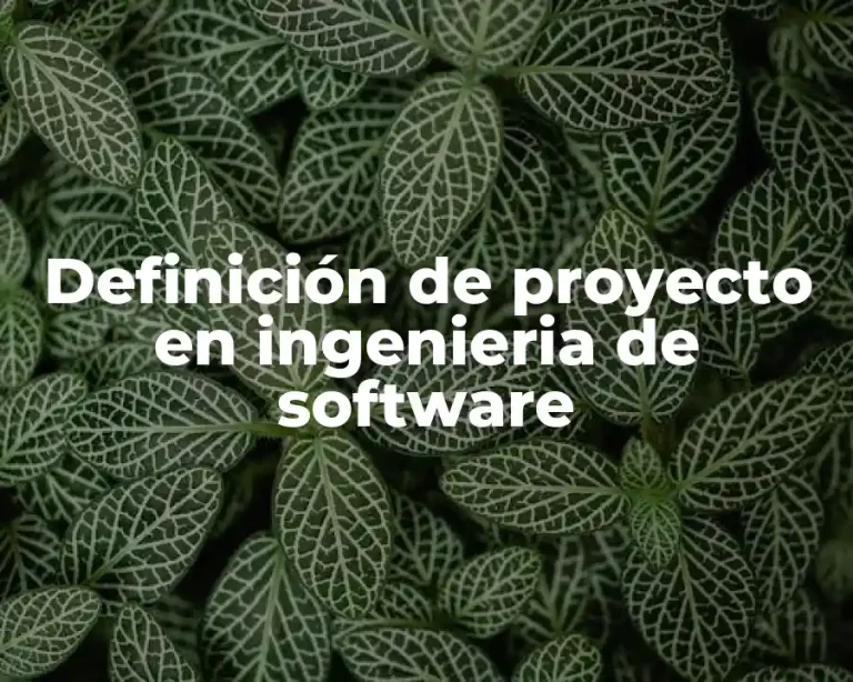 Definición de proyecto en ingenieria de software