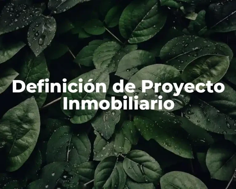 Definición de Proyecto Inmobiliario