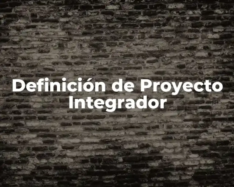 Definición de Proyecto Integrador