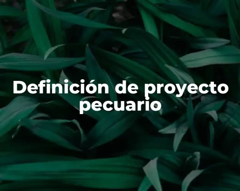 Definición de proyecto pecuario