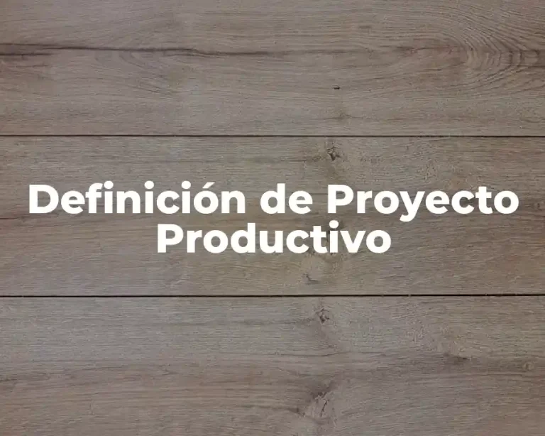 Definición de Proyecto Productivo