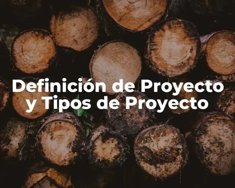 Definición de Proyecto y Tipos de Proyecto