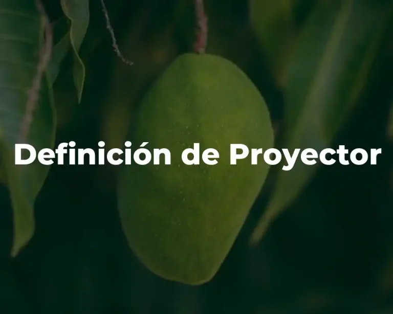 Definición de Proyector