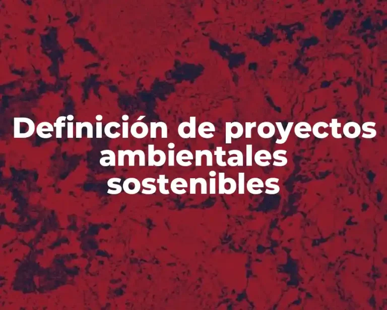 Definición de proyectos ambientales sostenibles