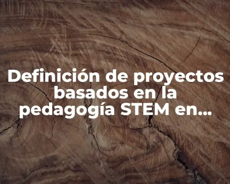 Definición de proyectos basados en la pedagogía STEM en matemáticas