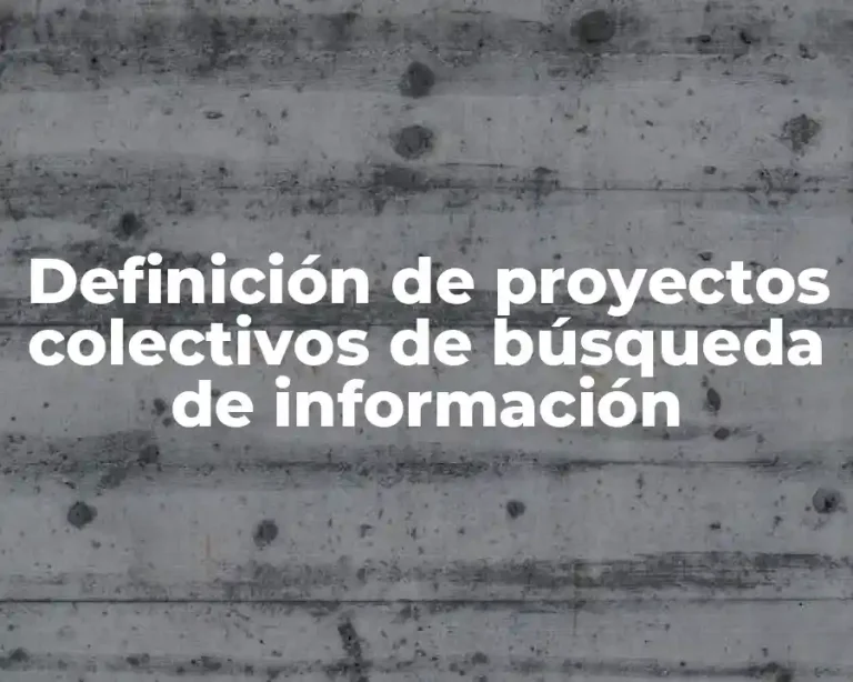 Definición de proyectos colectivos de búsqueda de información