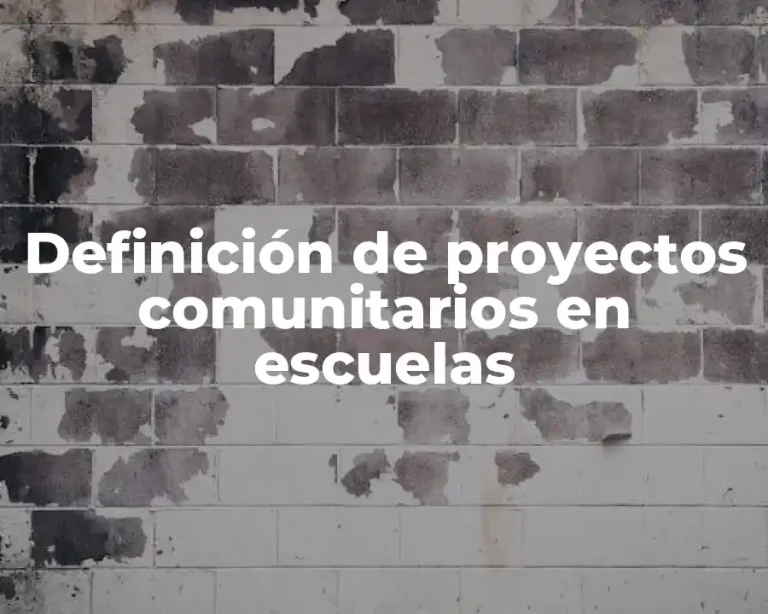 Definición de proyectos comunitarios en escuelas