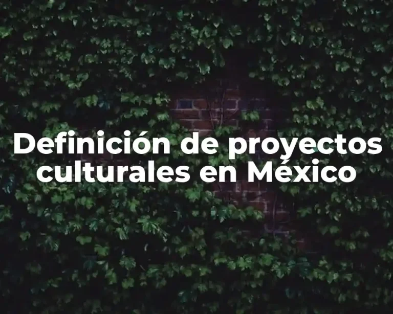 Definición de proyectos culturales en México