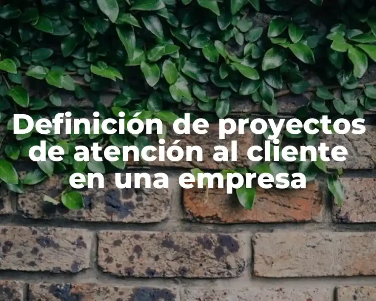 Definición de proyectos de atención al cliente en una empresa