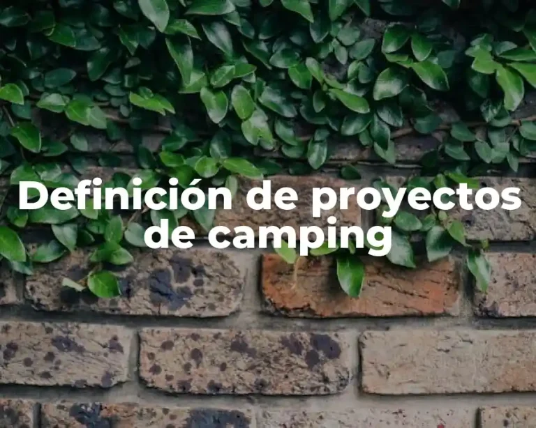 Definición de proyectos de camping