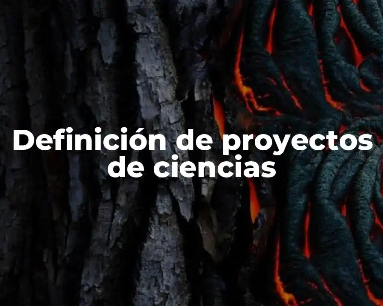 Definición de proyectos de ciencias