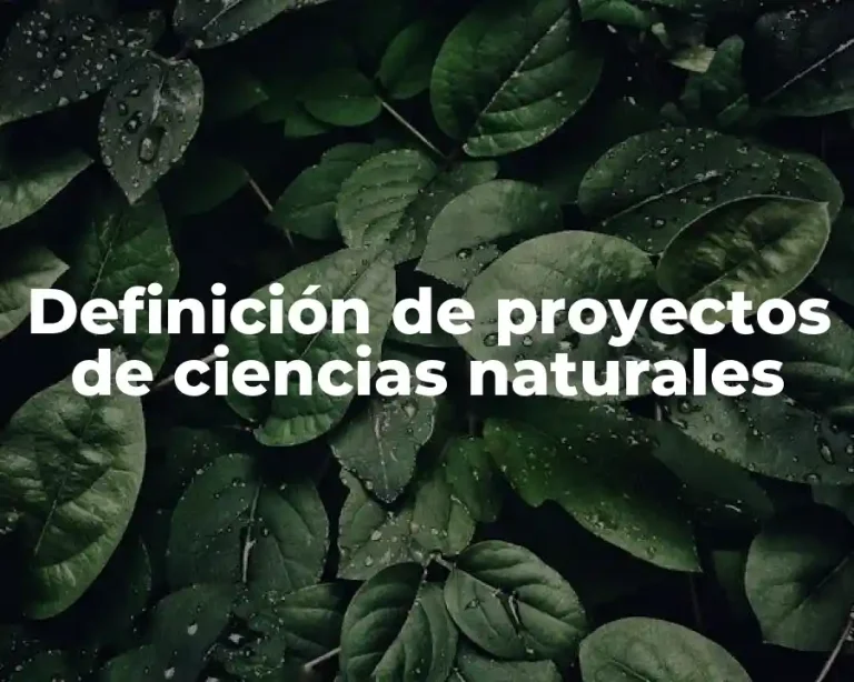 Definición de proyectos de ciencias naturales
