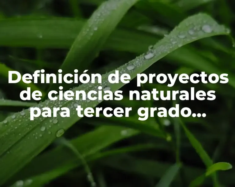 Definición de proyectos de ciencias naturales para tercer grado primaria