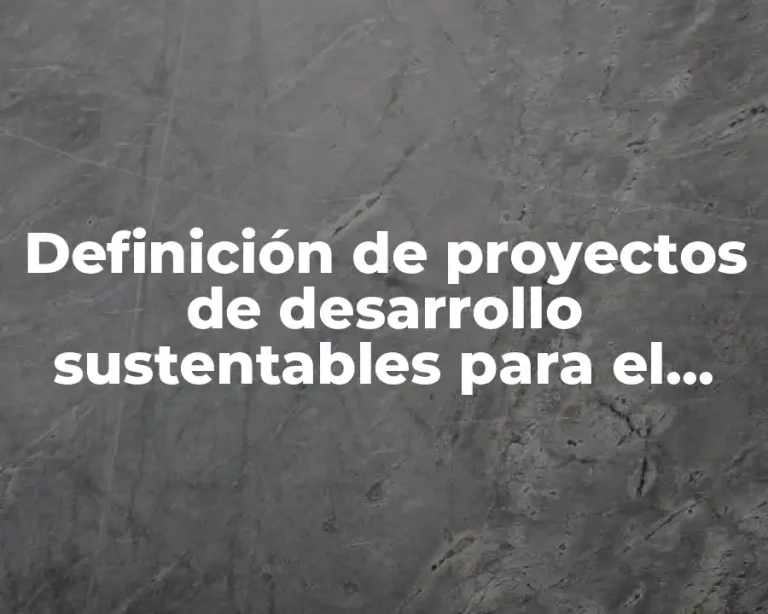 Definición de proyectos de desarrollo sustentables para el medio ambiente